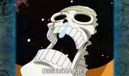 布鲁克最新爆料视频,独家内幕大公开